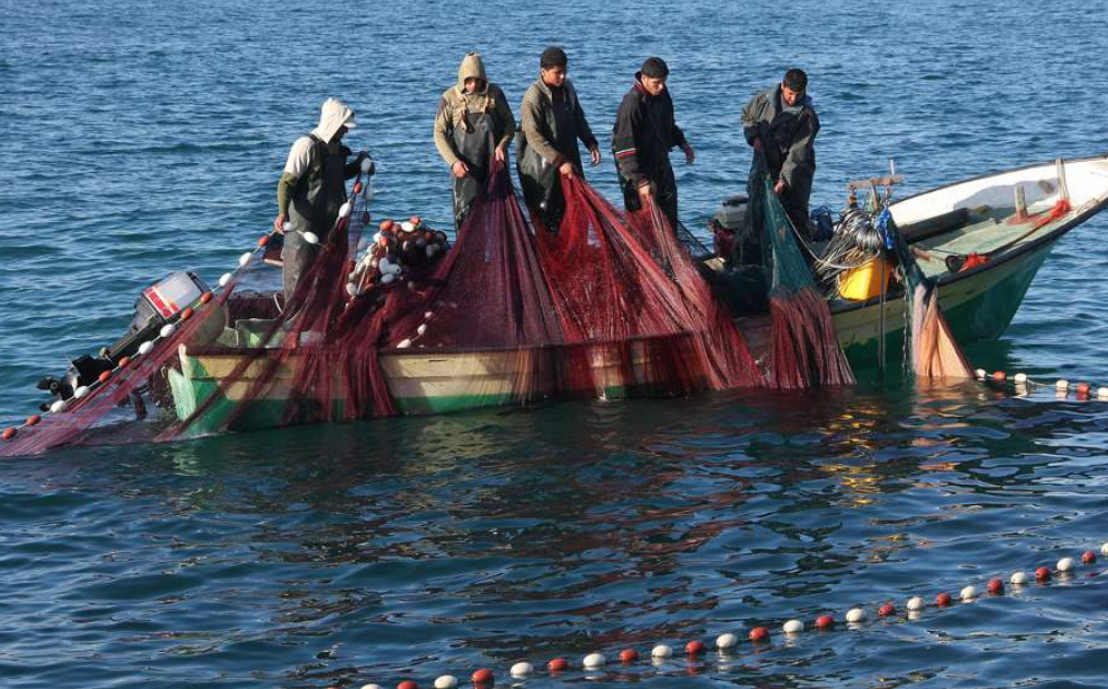 Palestinos en Gaza pescan aprovechando la intervención de la Flotilla Global Sumud
