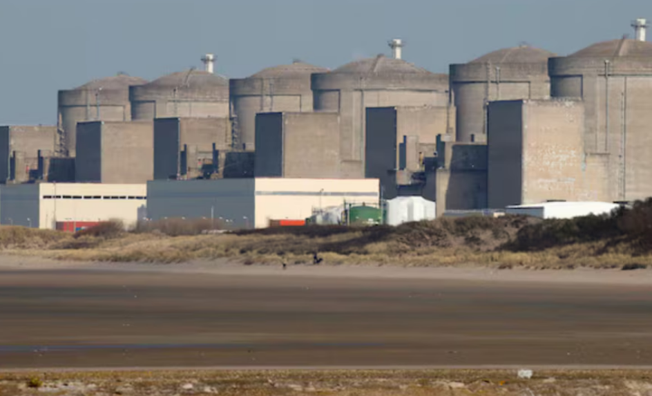 El peligro oculto de las medusas para la energía nuclear