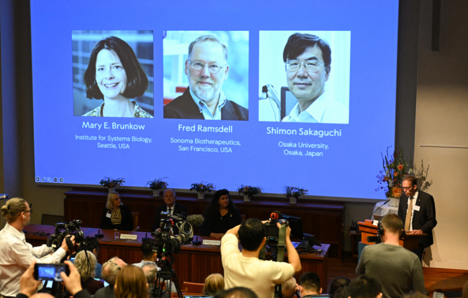 ¿Qué descubrieron los ganadores del Premio Nobel de Medicina 2025?