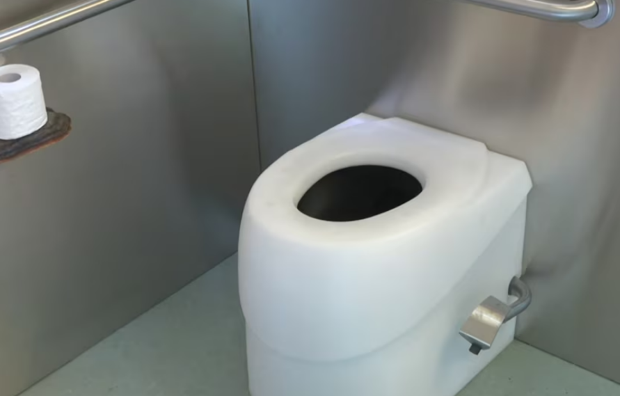 ¿Cómo funciona el MycoToilet, el primer inodoro con hongos?