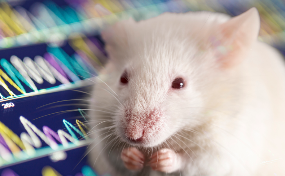 De héroes a reemplazos: el futuro de la experimentación