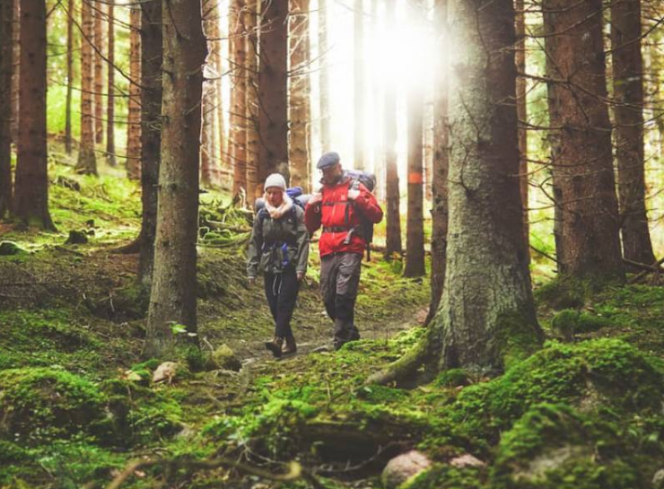 ¿Viajes como tratamientos médicos? Suecia lo hace realidad en un hecho histórico