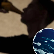 ¿El alcohol afecta al esperma? Se realizó un nuevo estudio de fertilidad