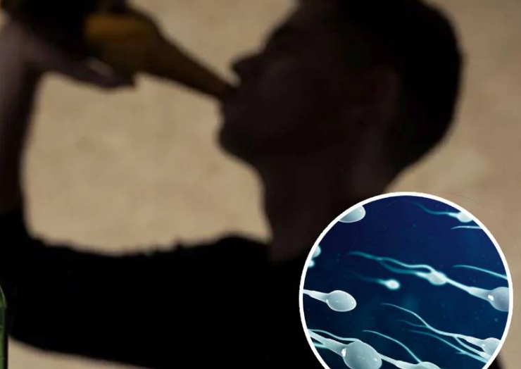 ¿El alcohol afecta al esperma? Se realizó un nuevo estudio de fertilidad