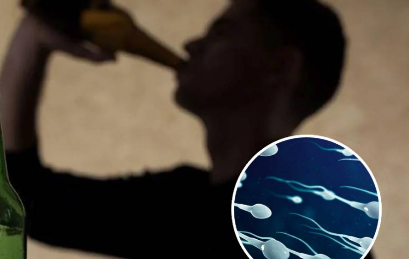 ¿El alcohol afecta al esperma? Se realizó un nuevo estudio de fertilidad