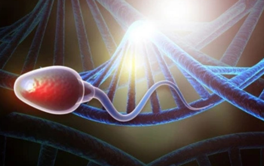 Daño en la movilidad y estructura del esperma