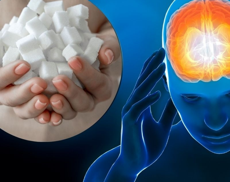 Comer azúcar daña tu cerebro de una forma muy curiosa pues olvida "como aprender"