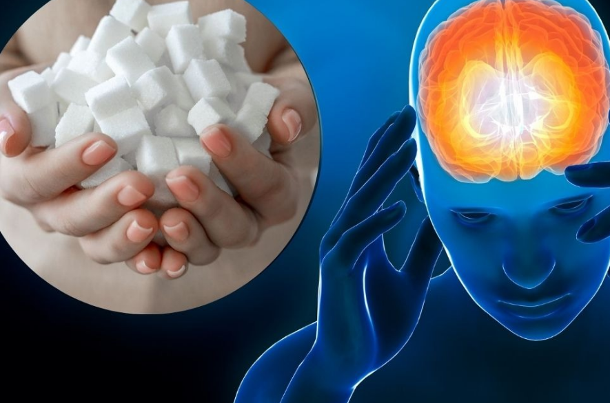 Comer azúcar daña tu cerebro de una forma muy curiosa pues olvida "como aprender"