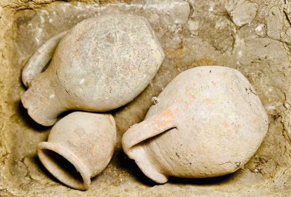 Descubren fortaleza prehistórica en Rusia con organización social avanzada