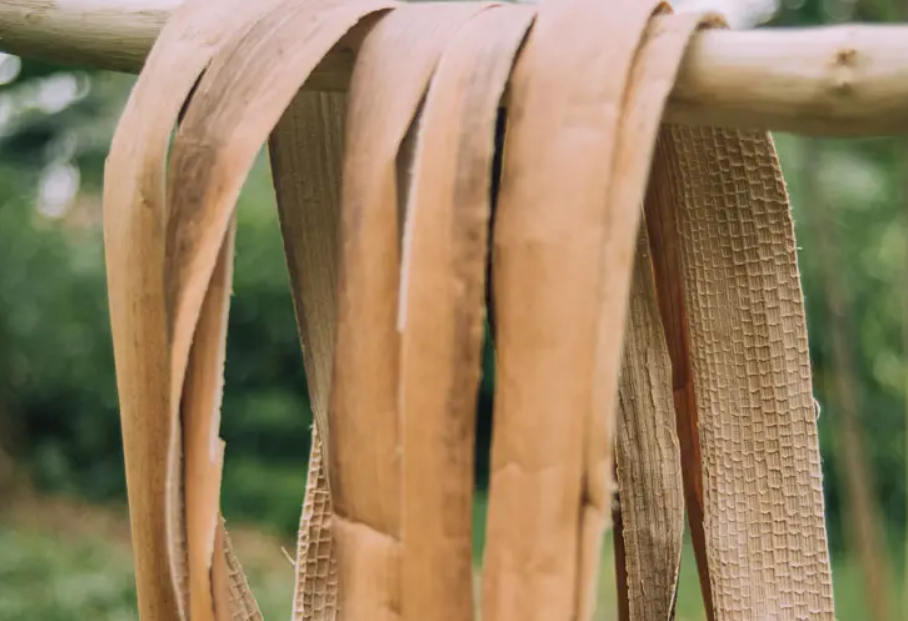 ¿Ropa hecha de plátano? Más que una moda pasajera