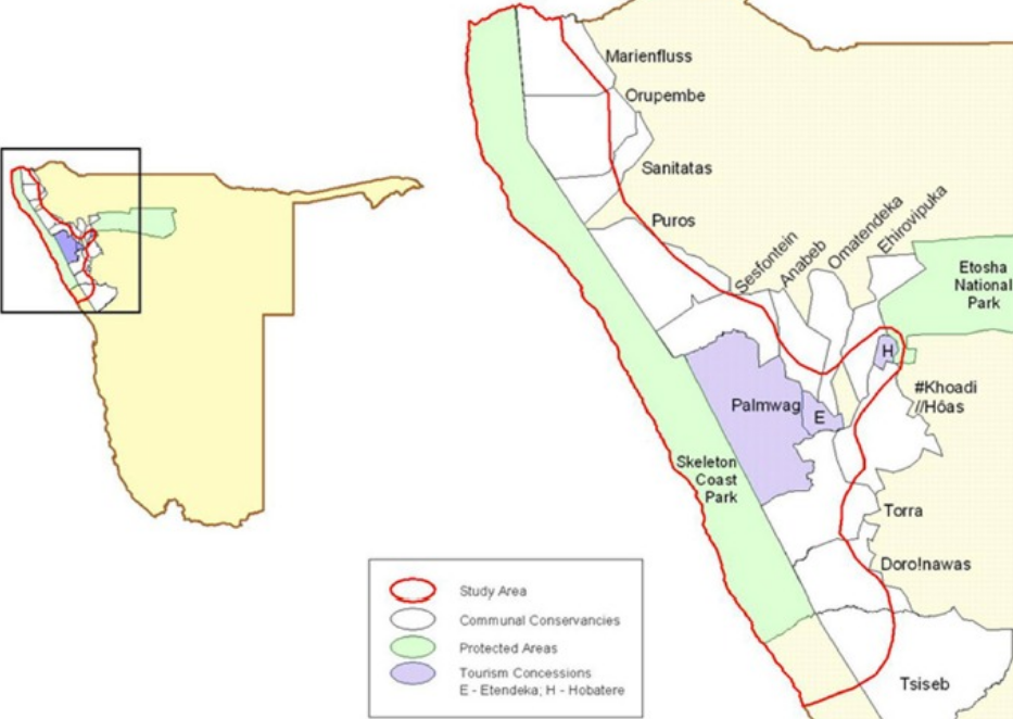 El pasado oscuro: cuando los leones desaparecieron