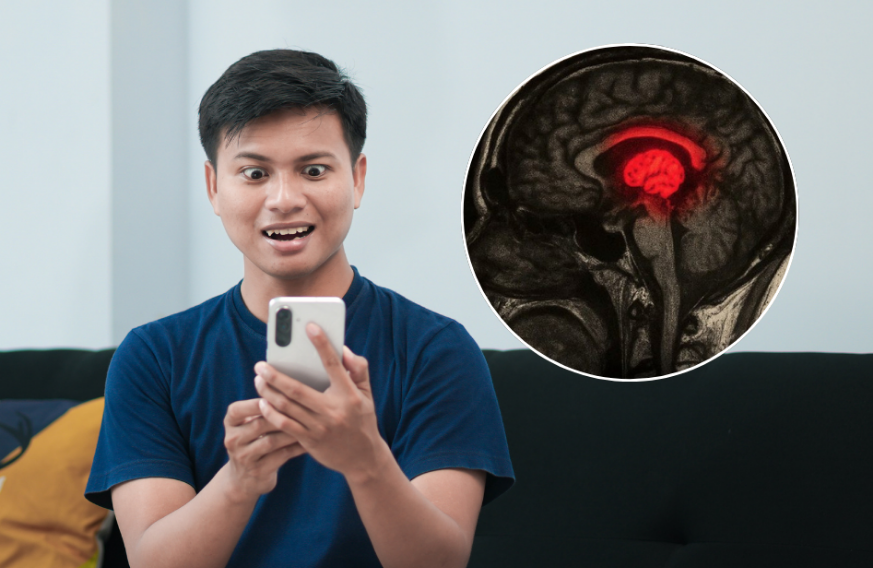 ¿Tu cerebro se encoge por tiktok? Científicos realizaron estudio al respecto
