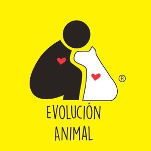 Evolución AC impulsa acciones y medidas para erradicar el maltrato animal en Mérida, buscando dar una segunda oportunidad a cientos de perros y gatos rescatados.