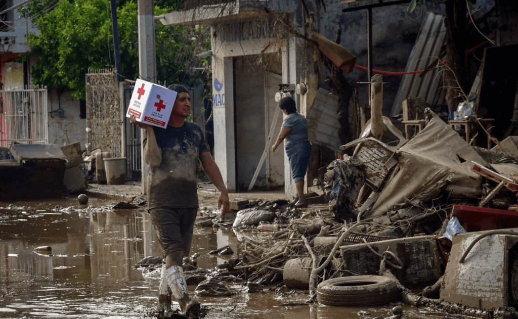 Entidades más afectadas y cifras preliminares