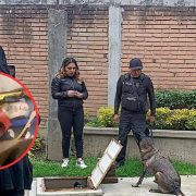 Ozumba hallan muerta Itzel en cisterna Tepetlixpa