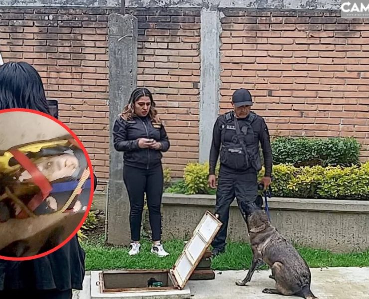 Ozumba hallan muerta Itzel en cisterna Tepetlixpa