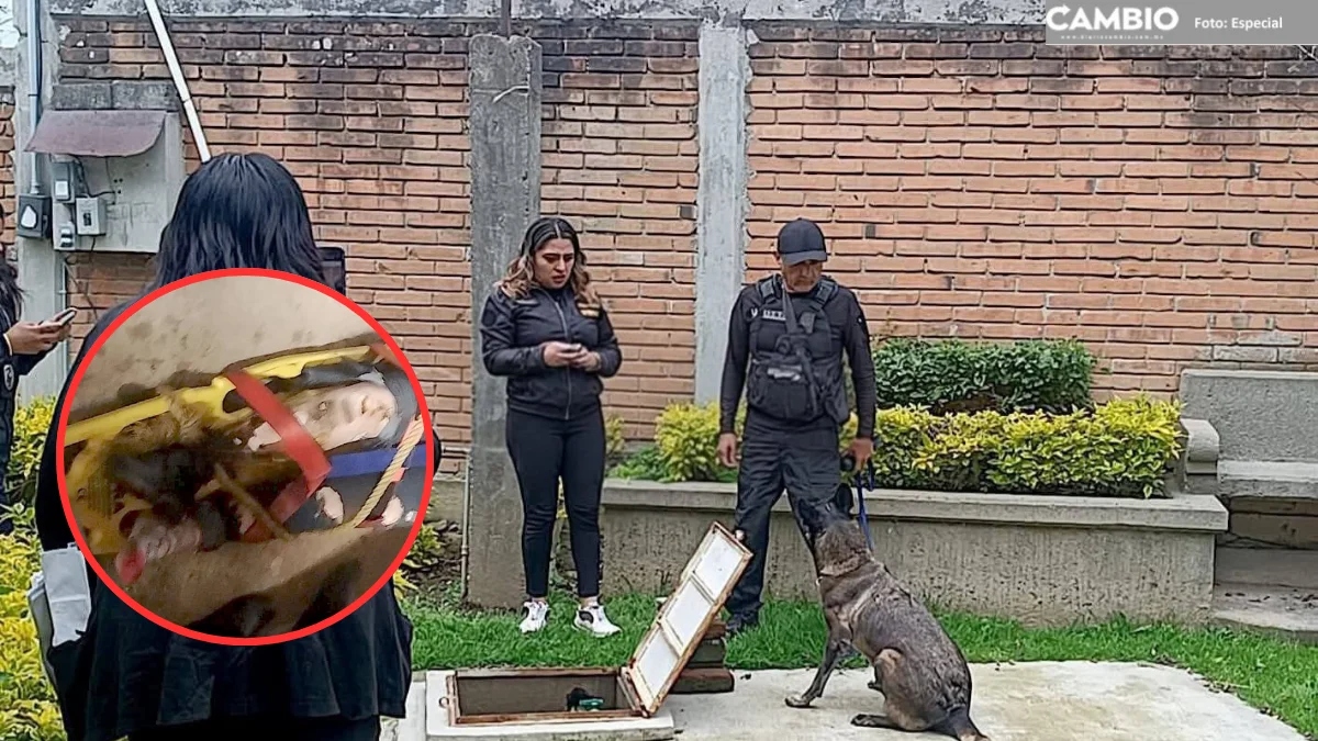 Ozumba hallan muerta Itzel en cisterna Tepetlixpa