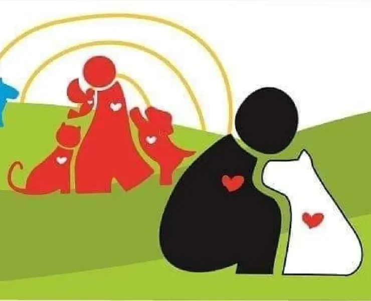 Impactantes medidas para erradicar el maltrato animal en Mérida