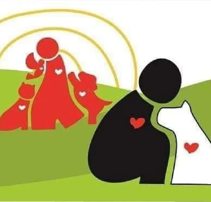 Impactantes medidas para erradicar el maltrato animal en Mérida