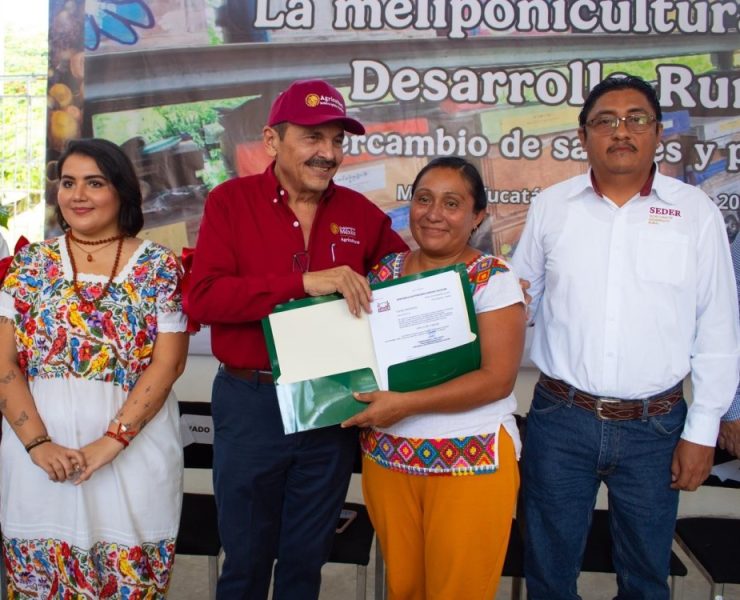 ¡Justicia para la abeja maya! Inicia el registro oficial de meliponicultores en Yucatán