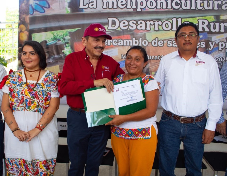 ¡Justicia para la abeja maya! Inicia el registro oficial de meliponicultores en Yucatán