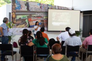 Yucatán da un paso histórico para la meliponicultura: productores ya cuentan con registro oficial