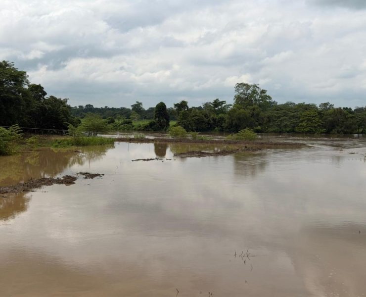 Lluvias provocan afectaciones menores en Tabasco