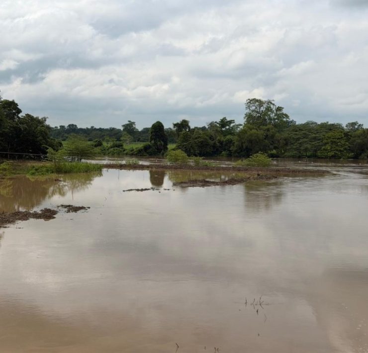 Lluvias provocan afectaciones menores en Tabasco