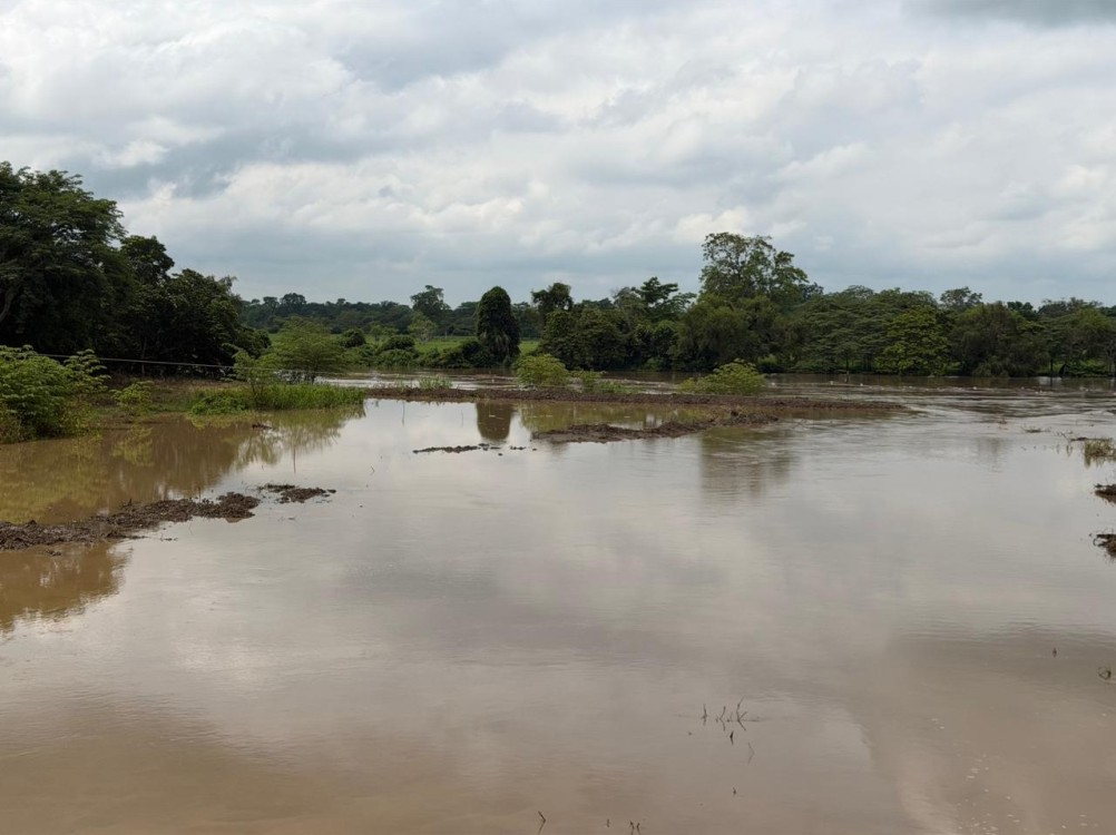 Lluvias provocan afectaciones menores en Tabasco