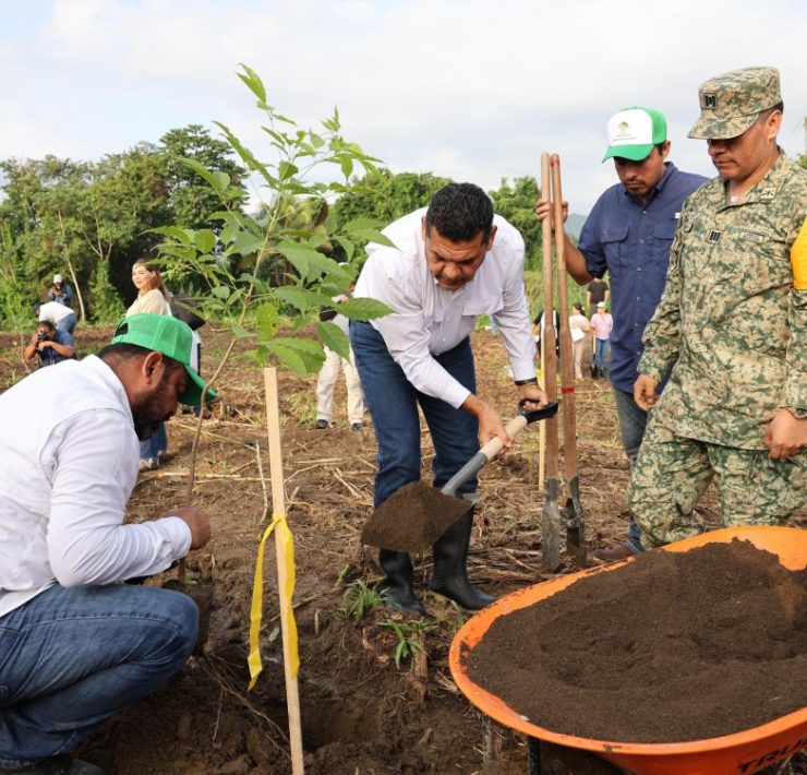Logran hazaña en reforestación en Tabasco y rebasan meta