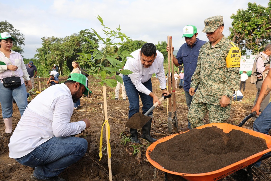 Logran hazaña en reforestación en Tabasco y rebasan meta