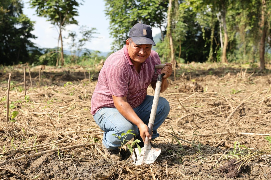 Logran hazaña en reforestación en Tabasco