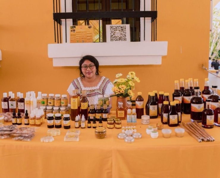 ¡Participa y Gana! Concurso de Ensayo y Cartel sobre Medicina Tradicional Maya