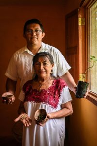 Invitan a concursos de ensayo y cartel sobre medicina tradicional maya