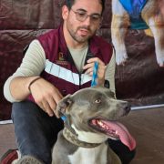 Óscar Rébora anuncia nuevas fechas de la Caravana de Bienestar Animal