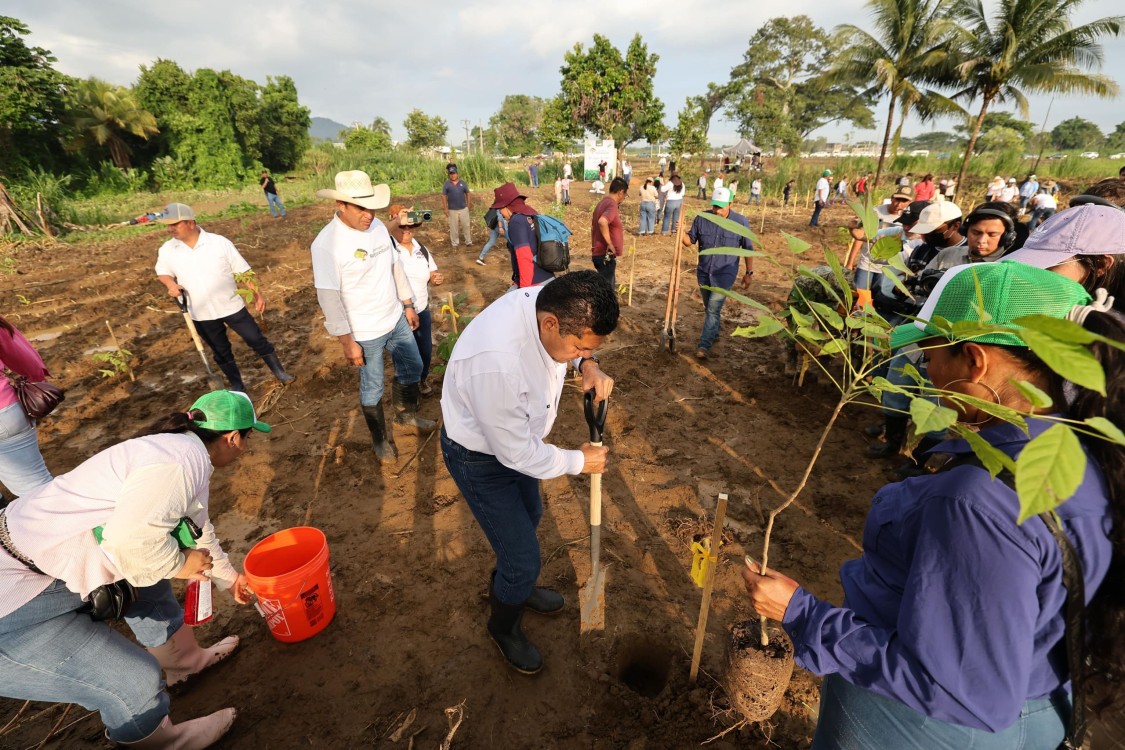 Reactivan viveros estatales