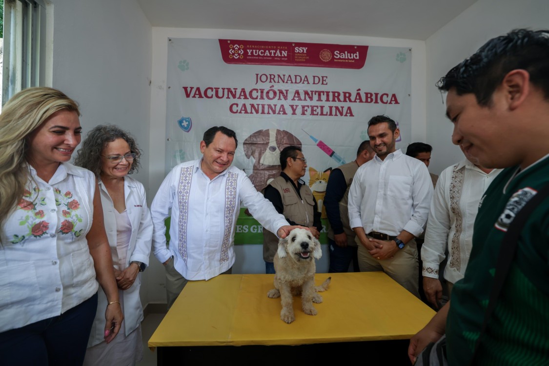 Vacúnalos Ya – Semana Nacional de Vacunación Antirrábica Canina y Felina 2025