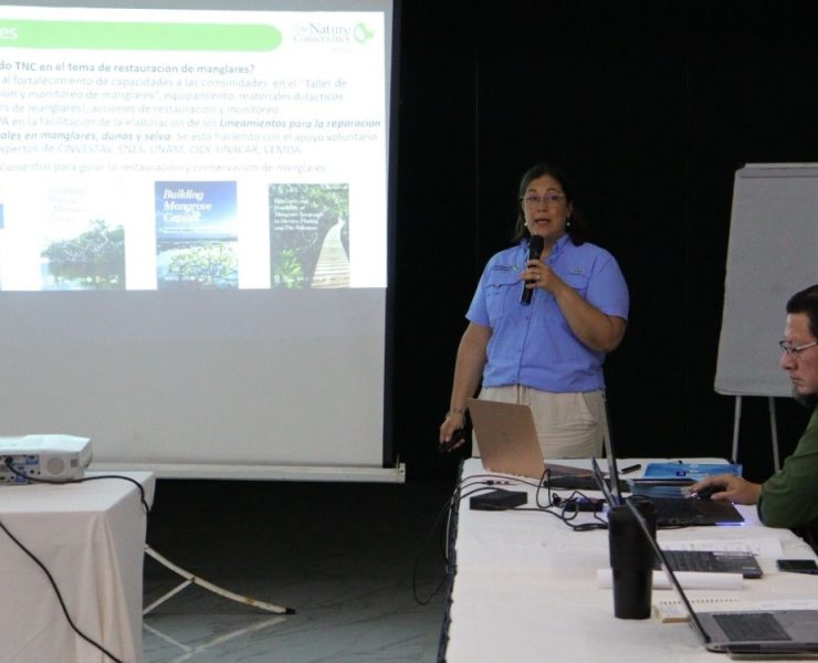 Unen esfuerzos por la conservación de los manglares de Yucatán: ¡Un paso clave para la biodiversidad!