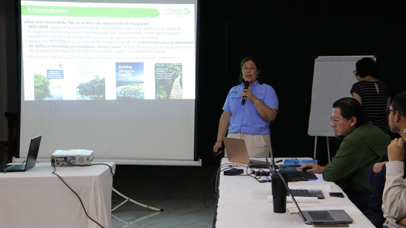 Unen esfuerzos por la conservación de los manglares de Yucatán: ¡Un paso clave para la biodiversidad!