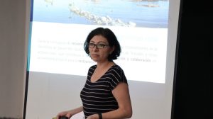 Unen esfuerzos por la conservación de los manglares de Yucatán