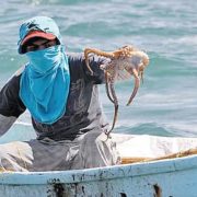 Preocupante aumento de pesca ilegal en Campeche