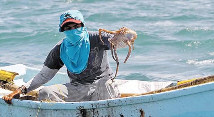 Preocupante aumento de pesca ilegal en Campeche