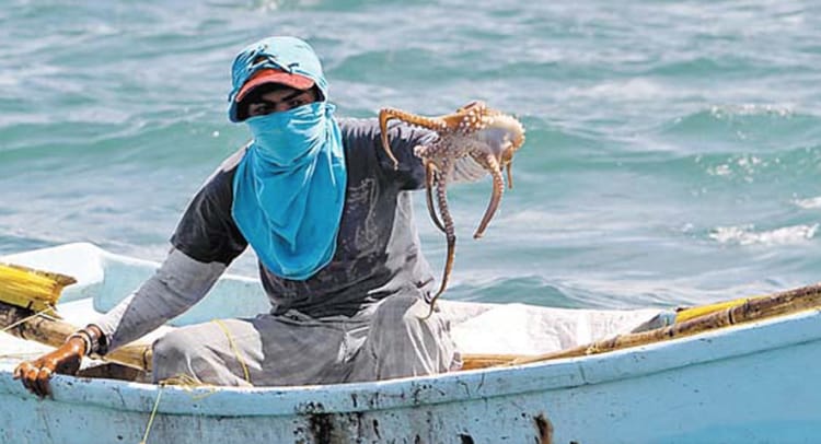 Preocupante aumento de pesca ilegal en Campeche