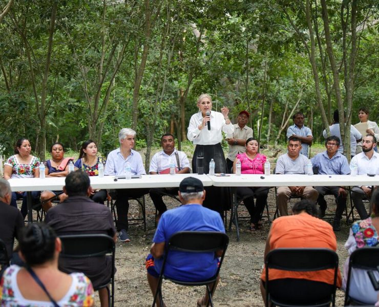 claves para el desarrollo de Dzitnup