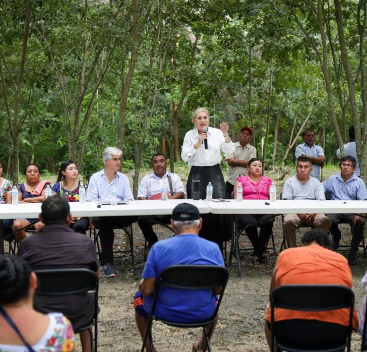 claves para el desarrollo de Dzitnup