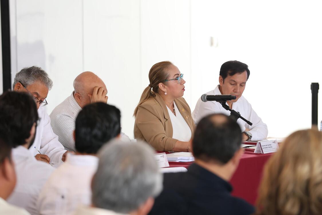 Representantes de sectores