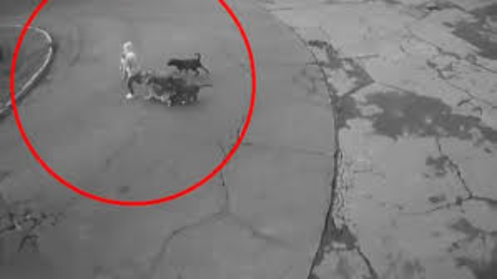 Ataque jauría Ixtapaluca Edomex muestra urgencia