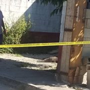 Hallan a un perro muerto en Sitpach de un b3lazo