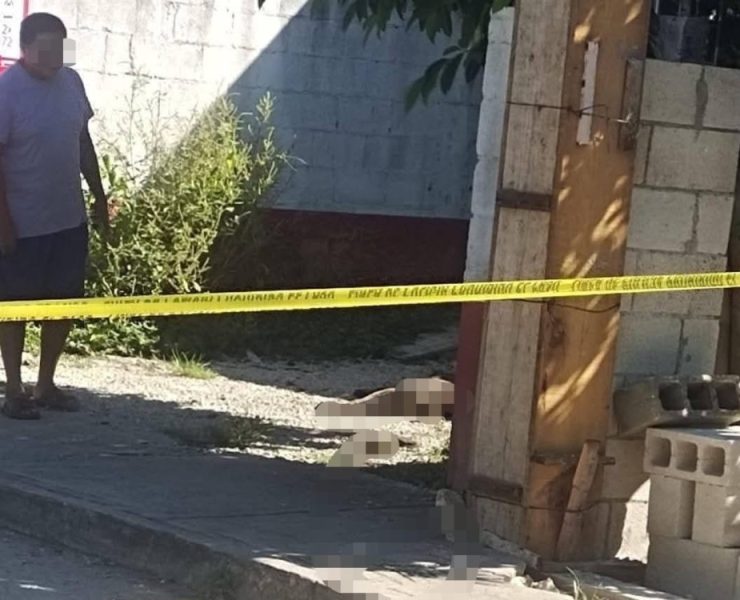 Hallan a un perro muerto en Sitpach de un b3lazo