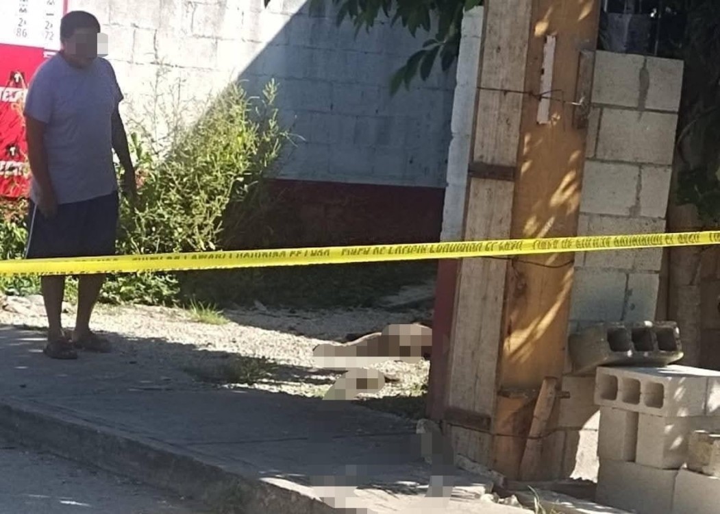 Hallan a un perro muerto en Sitpach de un b3lazo